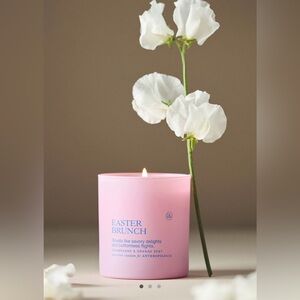 Anthropologie Anecdote Easter Brunch Champagne & Orange Zest Boxed Candle, Pink
